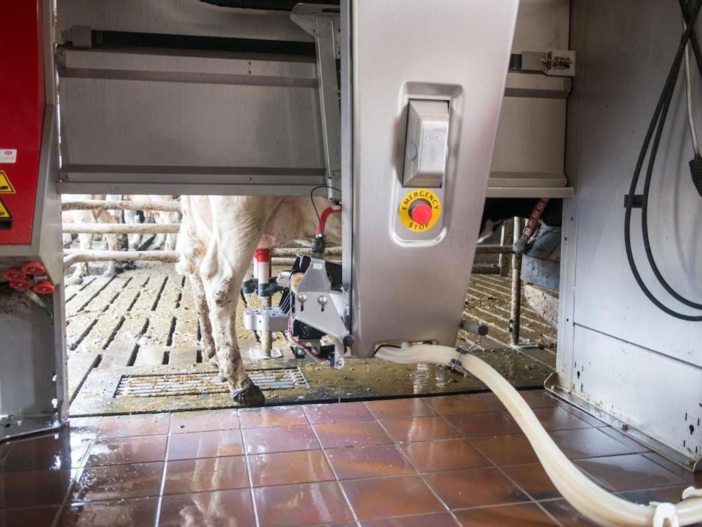 Ferienwohnung Sonnenaufgangsgenuss Harriersand Schwanewede Kültér fotó